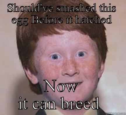 The ginger gene  - SHOULD'VE SMASHED THIS EGG BEFORE IT HATCHED NOW IT CAN BREED  Over Confident Ginger