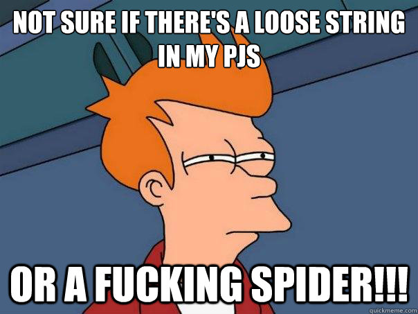 Not sure if there's a loose string in my pjs OR A FUCKING SPIDER!!!  Futurama Fry