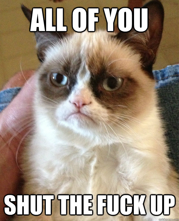 All of you Shut the fuck up  Grumpy Cat