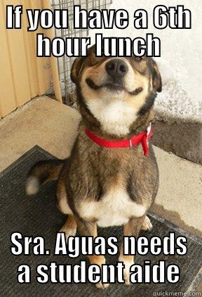 IF YOU HAVE A 6TH HOUR LUNCH SRA. AGUAS NEEDS A STUDENT AIDE Good Dog Greg