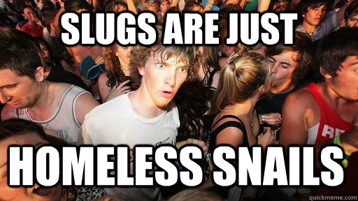 slugs are just homeless snails - slugs are just homeless snails  Sudden Clarity Clarence