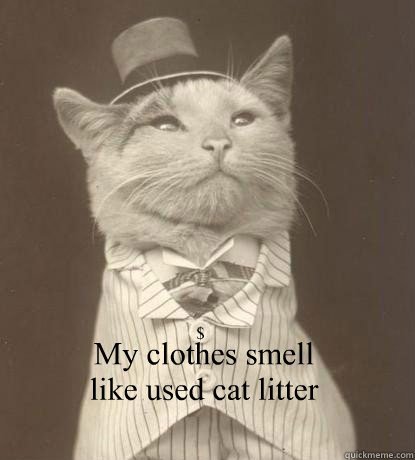 My clothes smell like used cat litter $  Aristocat