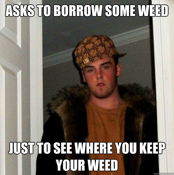 Asks to borrow some weed just to see where you keep your weed  Scumbag Steve