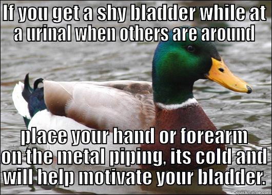 IF YOU GET A SHY BLADDER WHILE AT A URINAL WHEN OTHERS ARE AROUND PLACE YOUR HAND OR FOREARM ON THE METAL PIPING, ITS COLD AND WILL HELP MOTIVATE YOUR BLADDER. Actual Advice Mallard