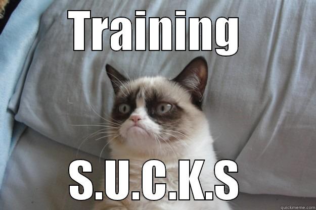 TRAINING S.U.C.K.S Grumpy Cat