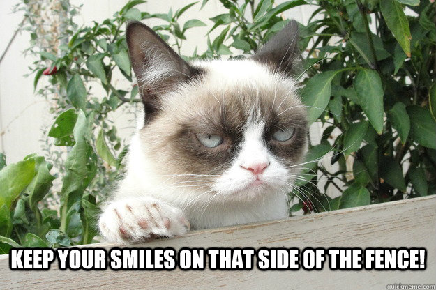 keep your smiles on that side of the fence!  grumpy cat fence