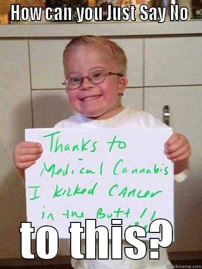 Legalize it for the children - HOW CAN YOU JUST SAY NO TO THIS? Misc