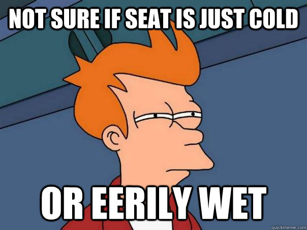 Not sure if seat is just cold or eerily wet  Futurama Fry