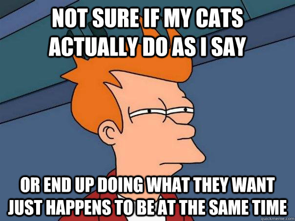 Not sure if my cats actually do as i say Or end up doing what they want just happens to be at the same time  Futurama Fry