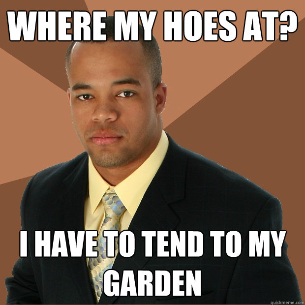 where my hoes at? i have to tend to my garden  Successful Black Man