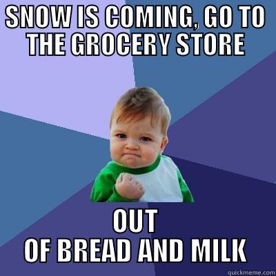 SNOW DAYS - SNOW IS COMING, GO TO THE GROCERY STORE OUT OF BREAD AND MILK Success Kid