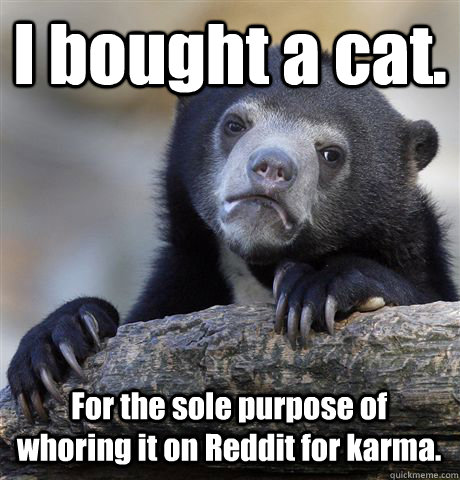 I bought a cat. For the sole purpose of whoring it on Reddit for karma.  Confession Bear