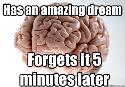 Has an amazing dream Forgets it 5 minutes later  Scumbag Brain