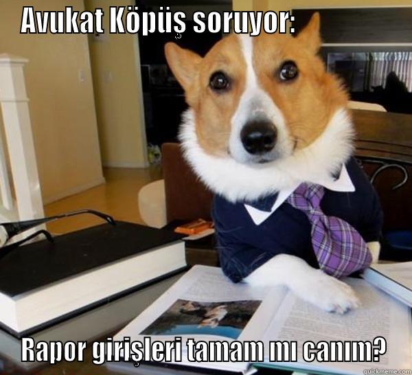 AVUKAT KÖPÜŞ SORUYOR:                   RAPOR GIRIŞLERI TAMAM MI CANIM? Lawyer Dog