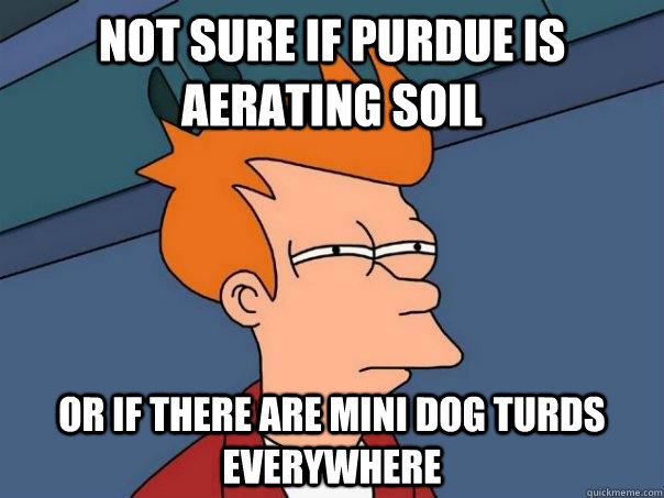 Not sure if Purdue is aerating soil or if there are mini dog turds everywhere  Futurama Fry