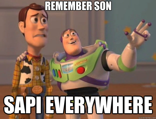 Remember son Sapi everywhere  Toy Story