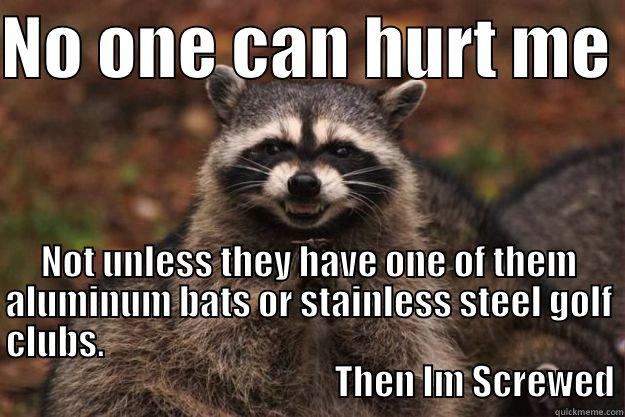 NO ONE CAN HURT ME  NOT UNLESS THEY HAVE ONE OF THEM ALUMINUM BATS OR STAINLESS STEEL GOLF CLUBS.                                                                                                                        THEN IM SCREWED Evil Plotting Raccoon