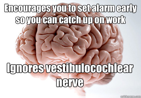 Encourages you to set alarm early so you can catch up on work  Ignores vestibulocochlear nerve    Scumbag Brain