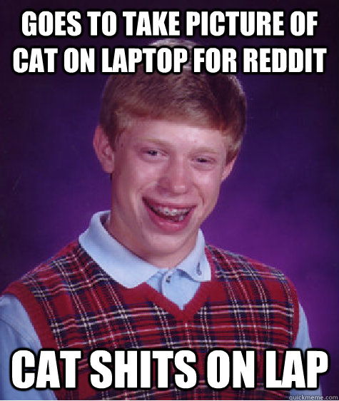 Goes to take picture of cat on laptop for reddit cat shits on lap  Bad Luck Brian