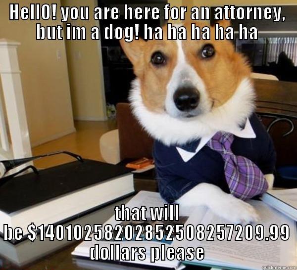 HELLO! YOU ARE HERE FOR AN ATTORNEY, BUT IM A DOG! HA HA HA HA HA THAT WILL BE $14010258202852508257209.99 DOLLARS PLEASE Lawyer Dog