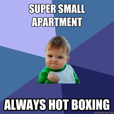 super small apartment always hot boxing  Success Kid