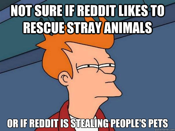 not sure if reddit likes to rescue stray animals or if reddit is stealing people's pets  Futurama Fry