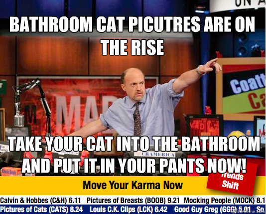 Bathroom Cat picutres are on the rise
 Take your cat into the bathroom and put it in your pants now!  Mad Karma with Jim Cramer