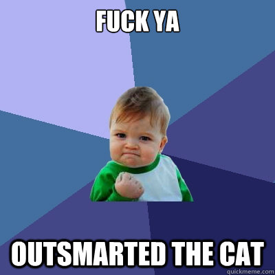 fuck ya outsmarted the cat  Success Kid