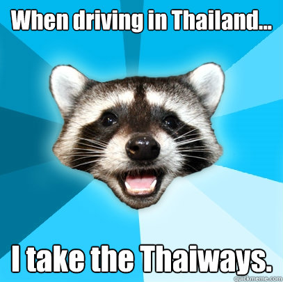 When driving in Thailand... I take the Thaiways. - When driving in Thailand... I take the Thaiways.  Lame Pun Coon