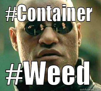 What if i told you, there was enough weed for an entire evening? - #CONTAINER #WEED Matrix Morpheus