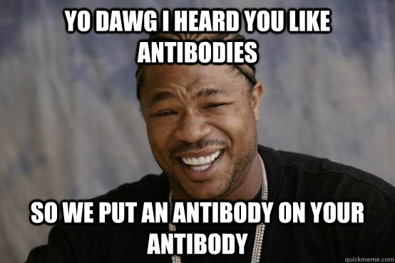 YO DAWG I Heard you like antibodies SO WE PUT an antibody on your antibody - YO DAWG I Heard you like antibodies SO WE PUT an antibody on your antibody  Misc