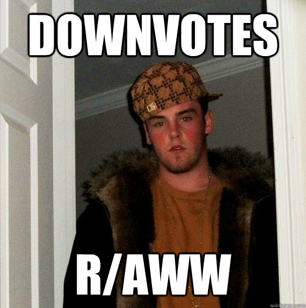 downvotes r/aww  Scumbag Steve