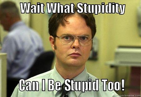          WAIT WHAT STUPIDITY             CAN I BE STUPID TOO!    Schrute