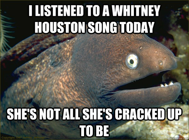 i listened to a whitney houston song today she's not all she's cracked up to be  Bad Joke Eel