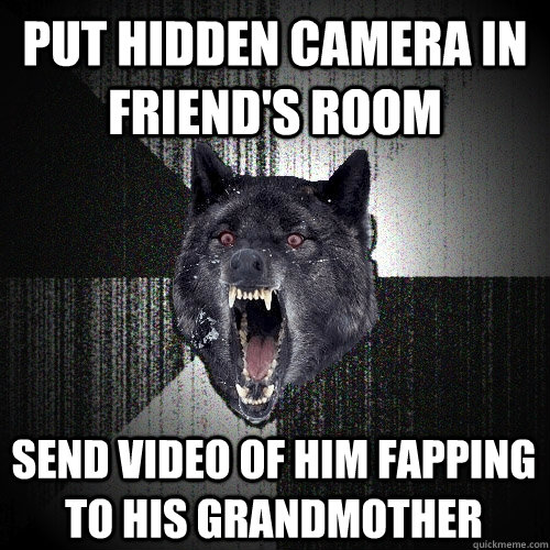 Put hidden camera in friend's room send video of him fapping to his grandmother  Insanity Wolf