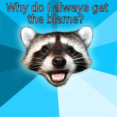 WHY DO I ALWAYS GET THE BLAME?   Lame Pun Coon