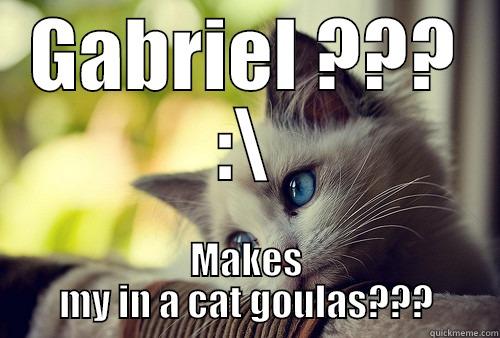 gabriel naredi mačji gulaž - GABRIEL ??? :\ MAKES MY IN A CAT GOULAS??? First World Problems Cat