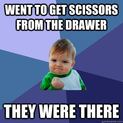 Went to get scissors from the drawer they were there  Success Kid