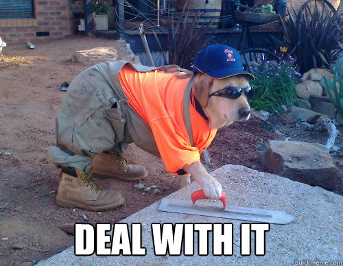  deal with it -  deal with it  Cement Dog