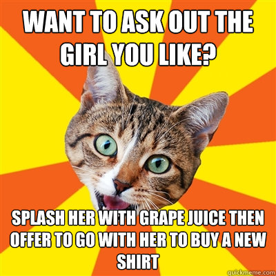 Want to ask out the girl you like? Splash her with grape juice then offer to go with her to buy a new shirt  Bad Advice Cat