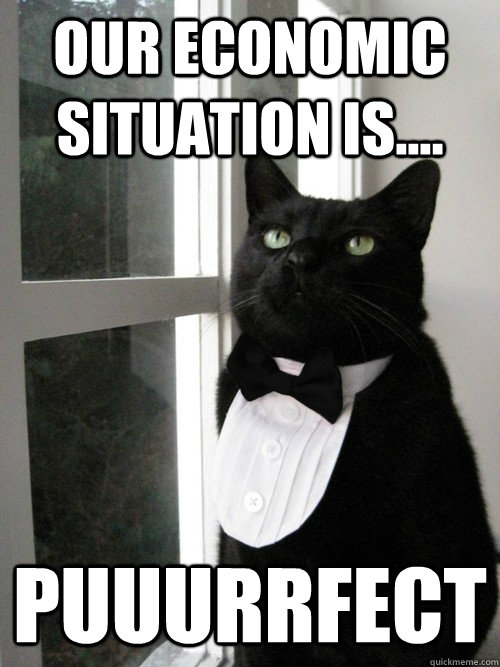 Our economic situation is.... PUUURRFECT  One Percent Cat