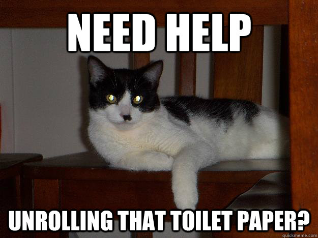 need help unrolling that toilet paper? - need help unrolling that toilet paper?  Casual Cat