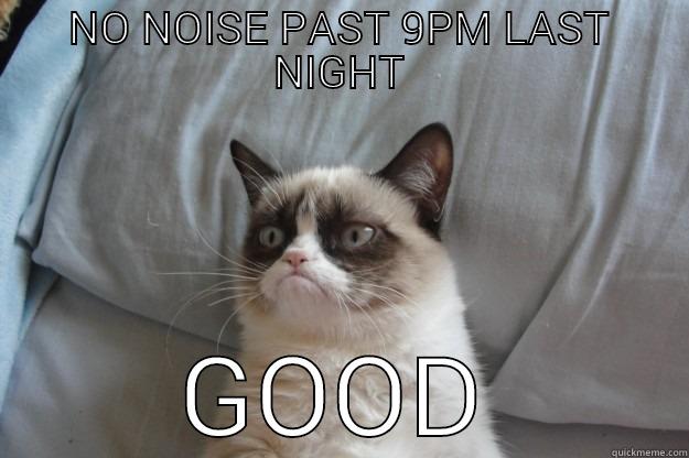 NO NOISE PAST 9PM LAST NIGHT GOOD Grumpy Cat