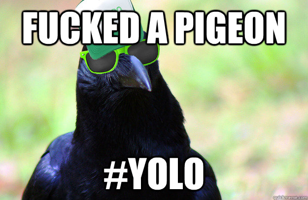 Fucked a pigeon #YOLO - Fucked a pigeon #YOLO  Overused Catchphrase Crow