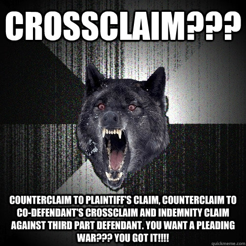 crossclaim??? counterclaim to plaintiff's claim, counterclaim to co-defendant's crossclaim and indemnity claim against third part defendant. you want a pleading war??? you got it!!!! - crossclaim??? counterclaim to plaintiff's claim, counterclaim to co-defendant's crossclaim and indemnity claim against third part defendant. you want a pleading war??? you got it!!!!  Insanity Wolf