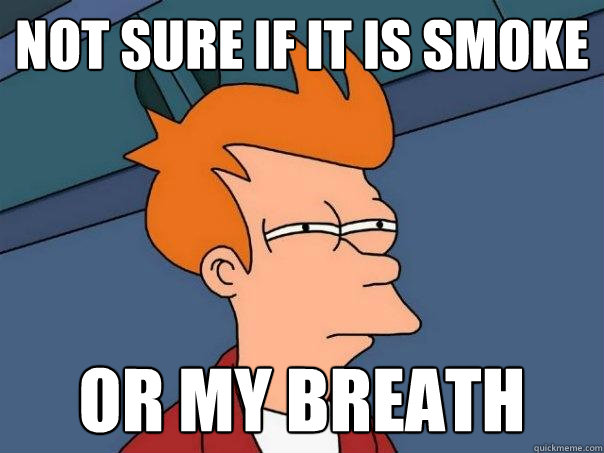 Not sure if it is smoke  Or my breath - Not sure if it is smoke  Or my breath  Futurama Fry