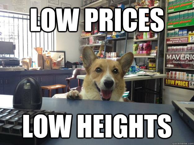 low prices low heights - low prices low heights  Convenience Corgi