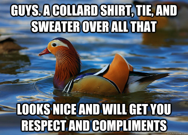 guys. a collard shirt, tie, and sweater over all that looks nice and will get you respect and compliments  Fashion Advice Mallard