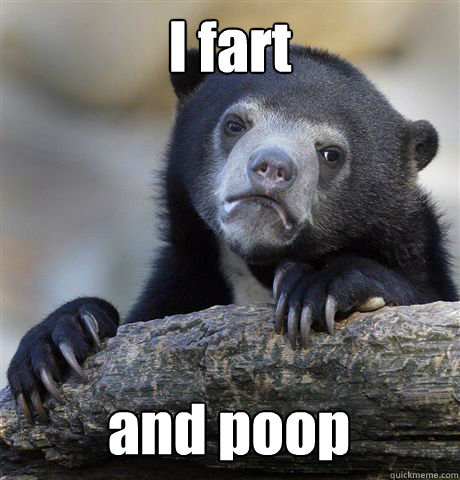 I fart and poop  Confession Bear