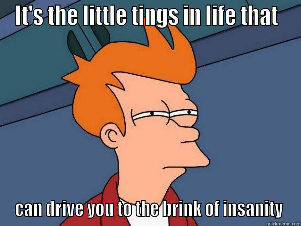 it's the little things.... - IT'S THE LITTLE TINGS IN LIFE THAT  CAN DRIVE YOU TO THE BRINK OF INSANITY Futurama Fry